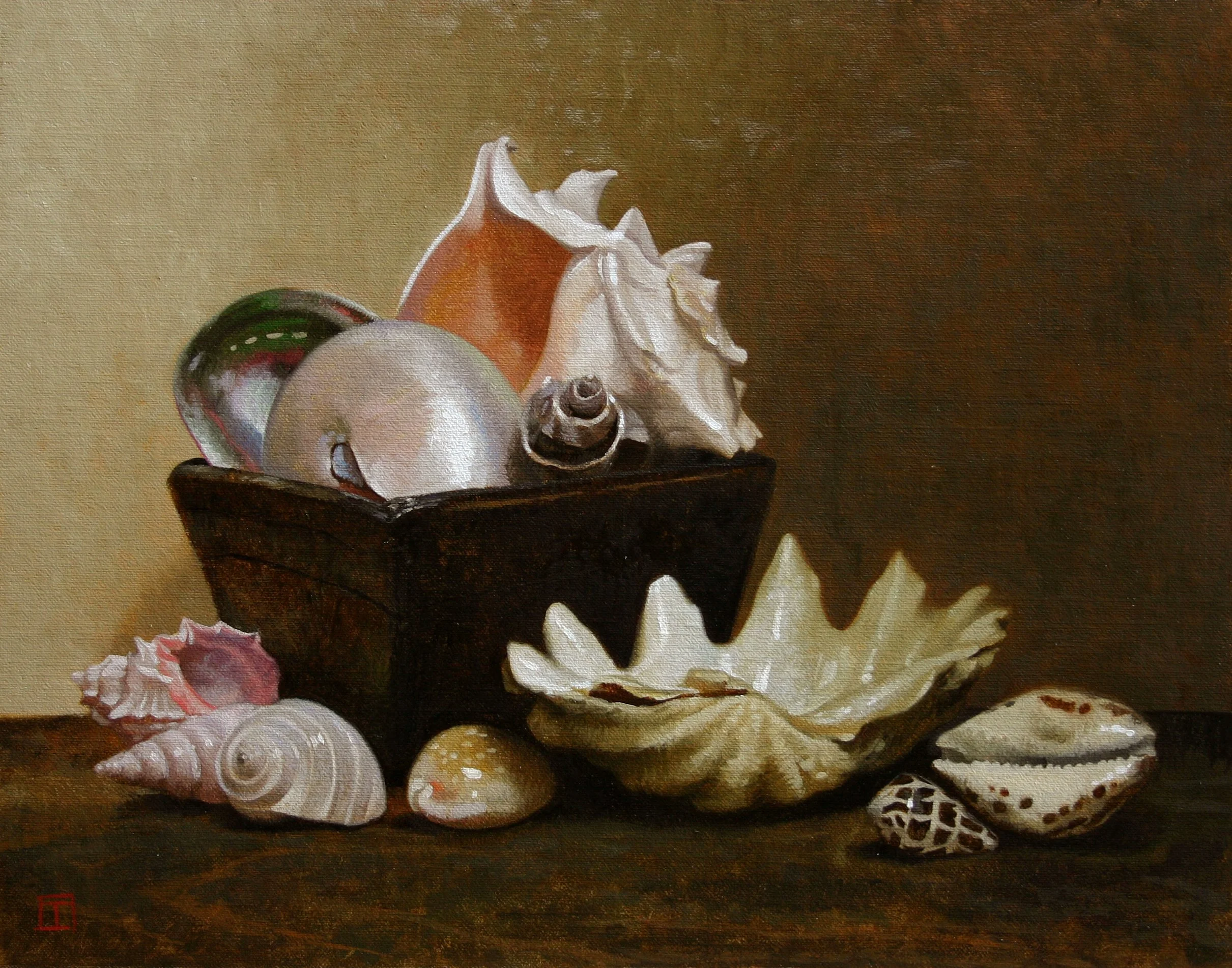 Collectionofshells.jpg
