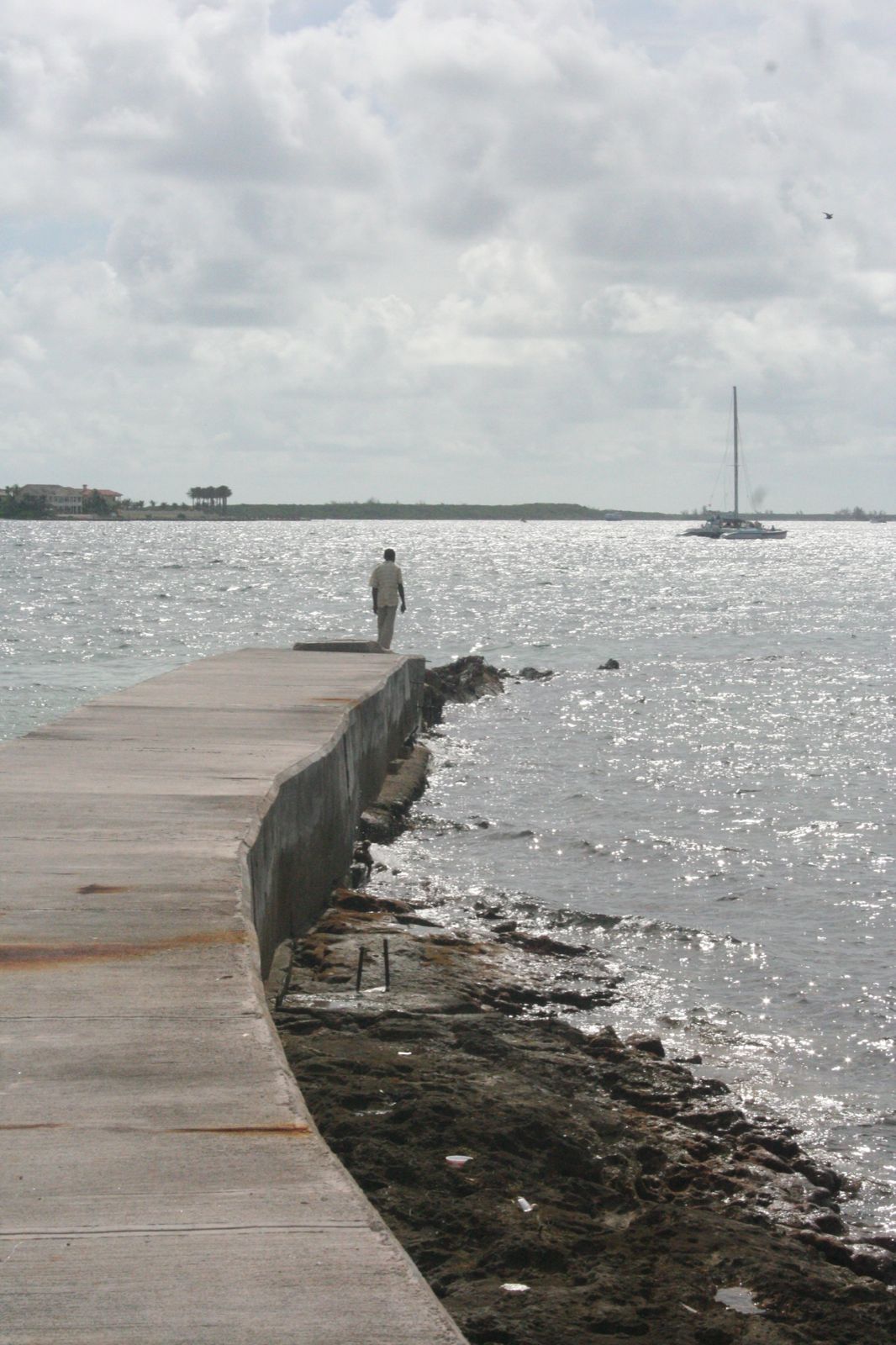 IMG_7608.jpg