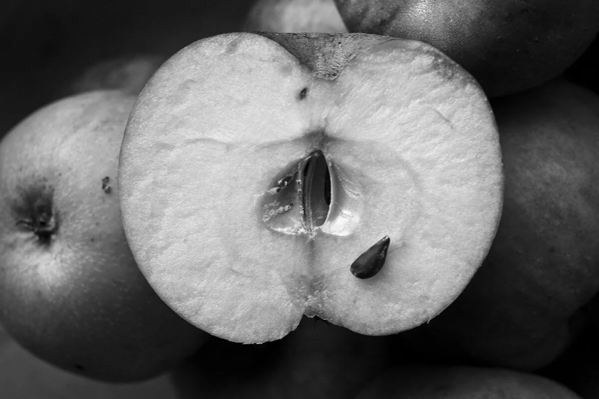Blackapple_magdalena.jpg