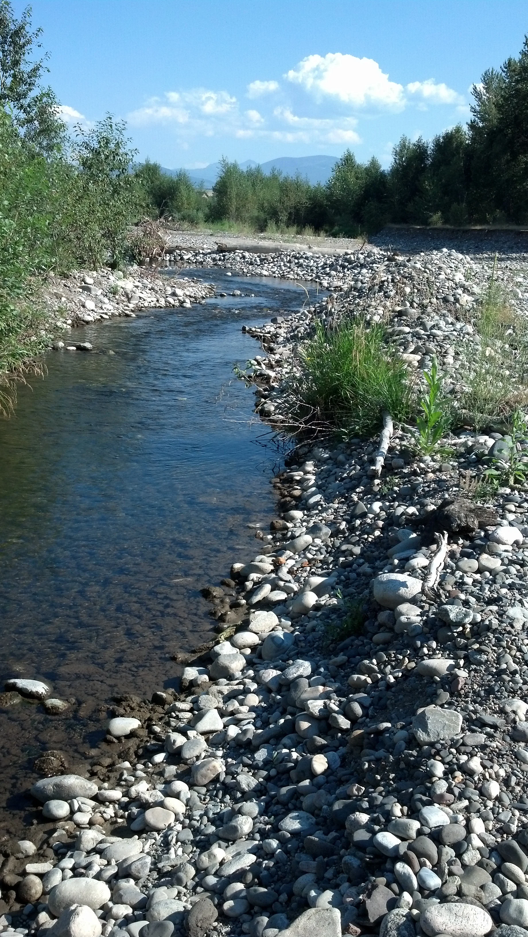 West Gallatin River, Bozeman, MT