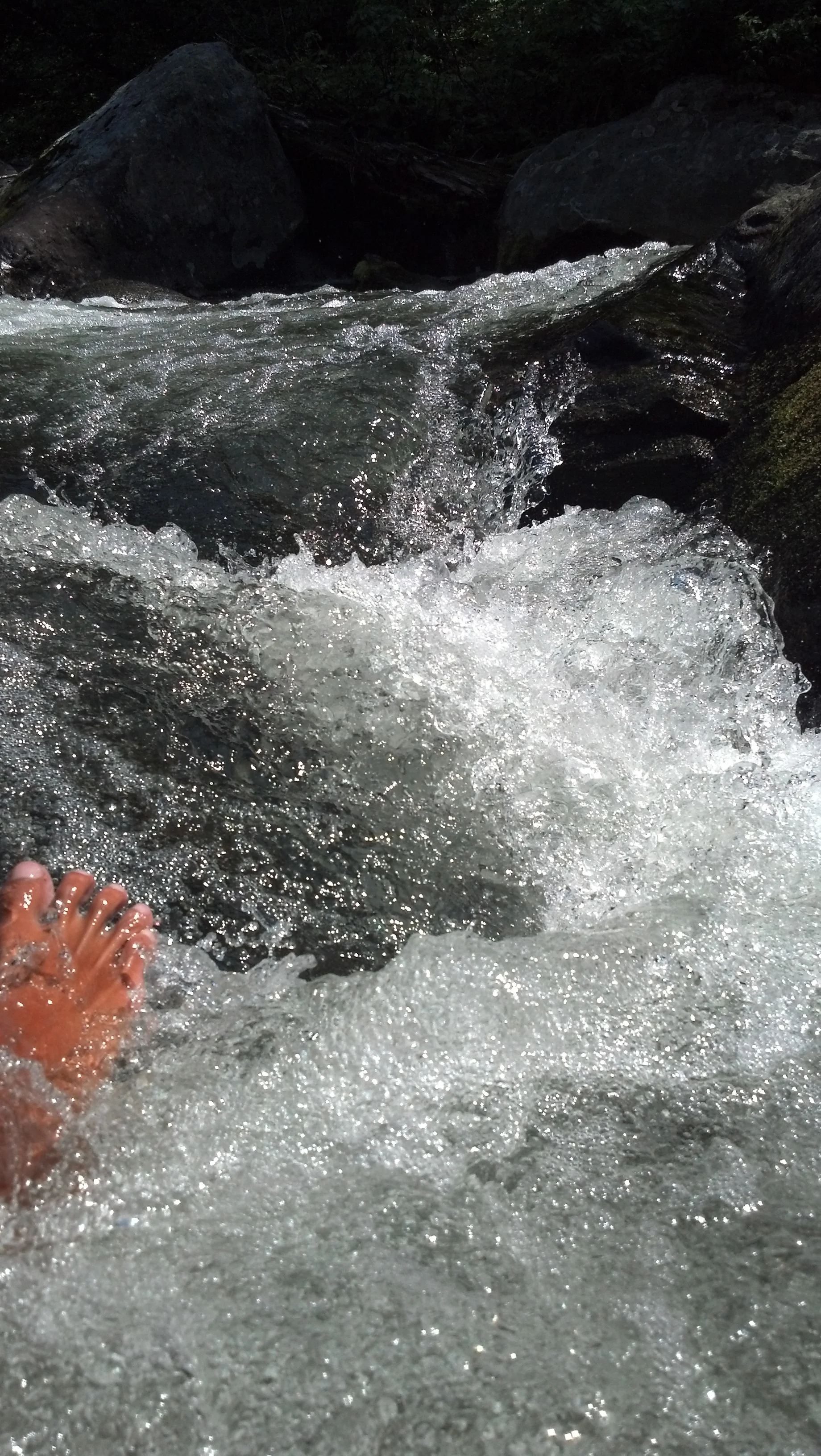 Hyalite Creek Natural Allergy Relief