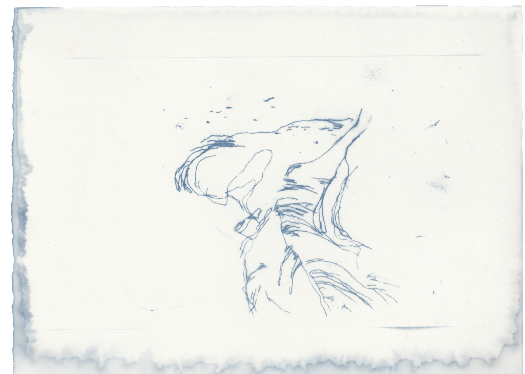 WEB NegativeResults-23.png