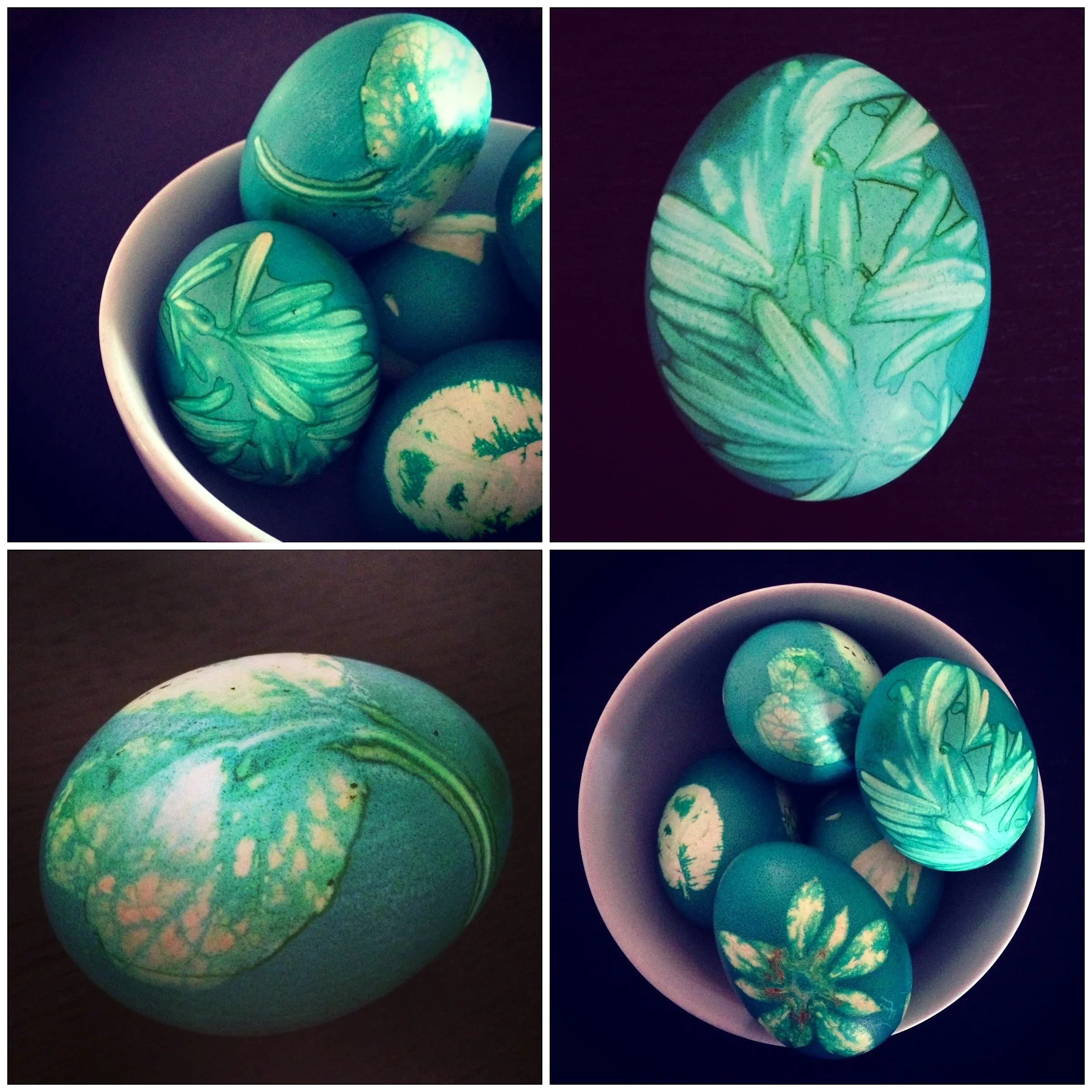 Botanical Eggs