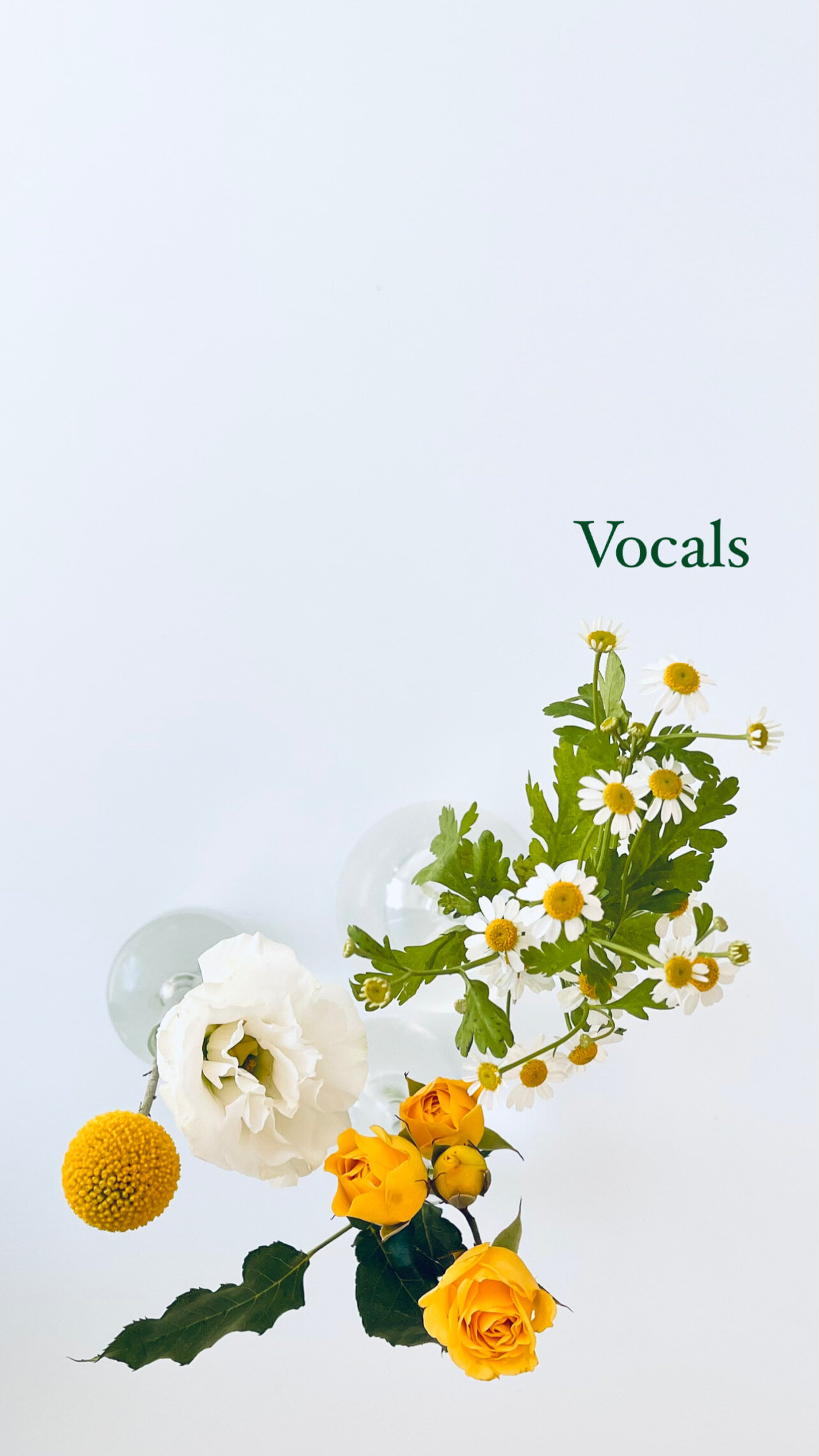 Vocals_20210731_A.JPG