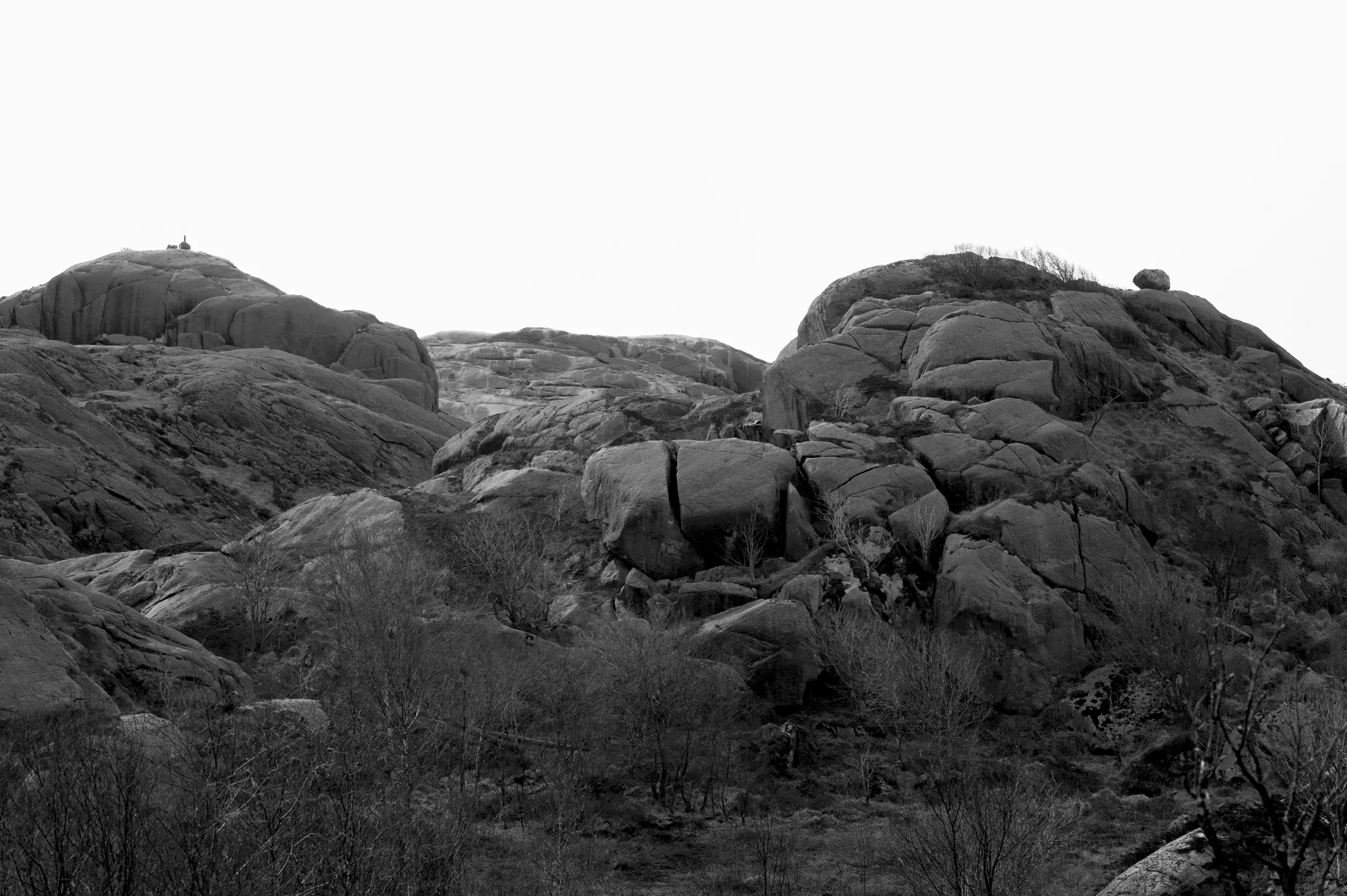 _DSC9694.jpg