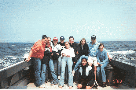 Whale watching out on the Atlantic.