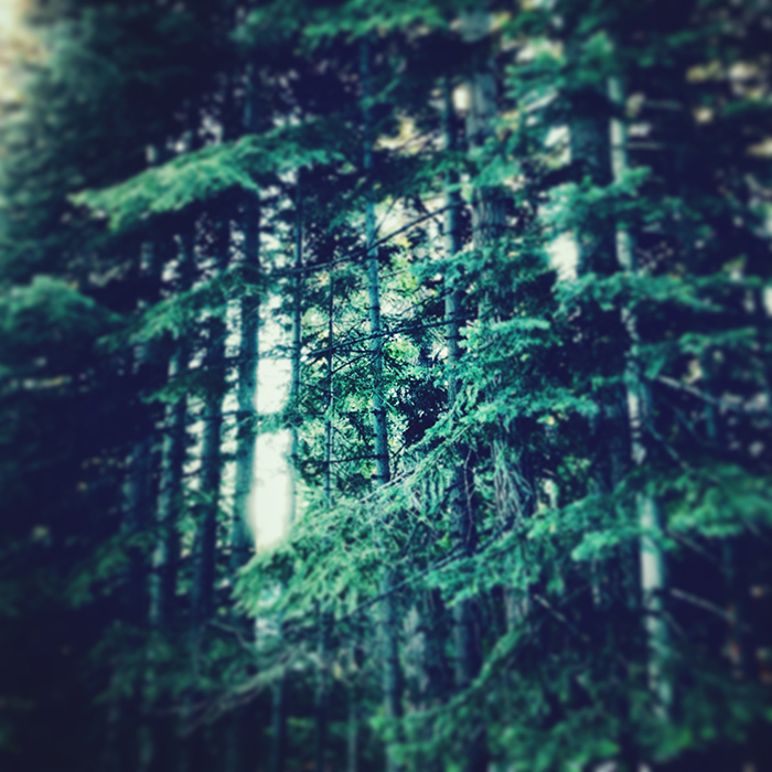 Truckee, CA 2013