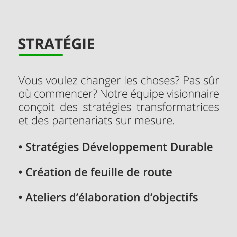 01_FR_Newbase_Services_Stratégie.png