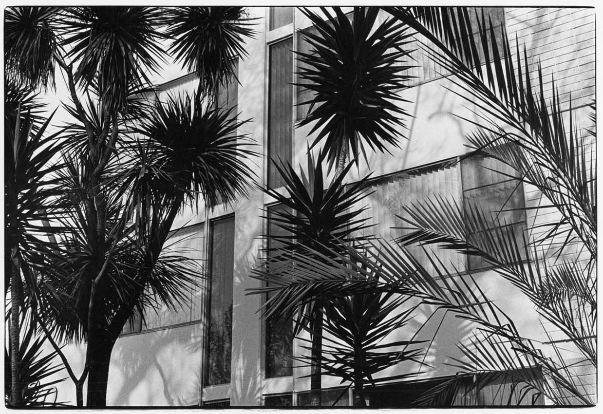 losangeles06 (2).jpg