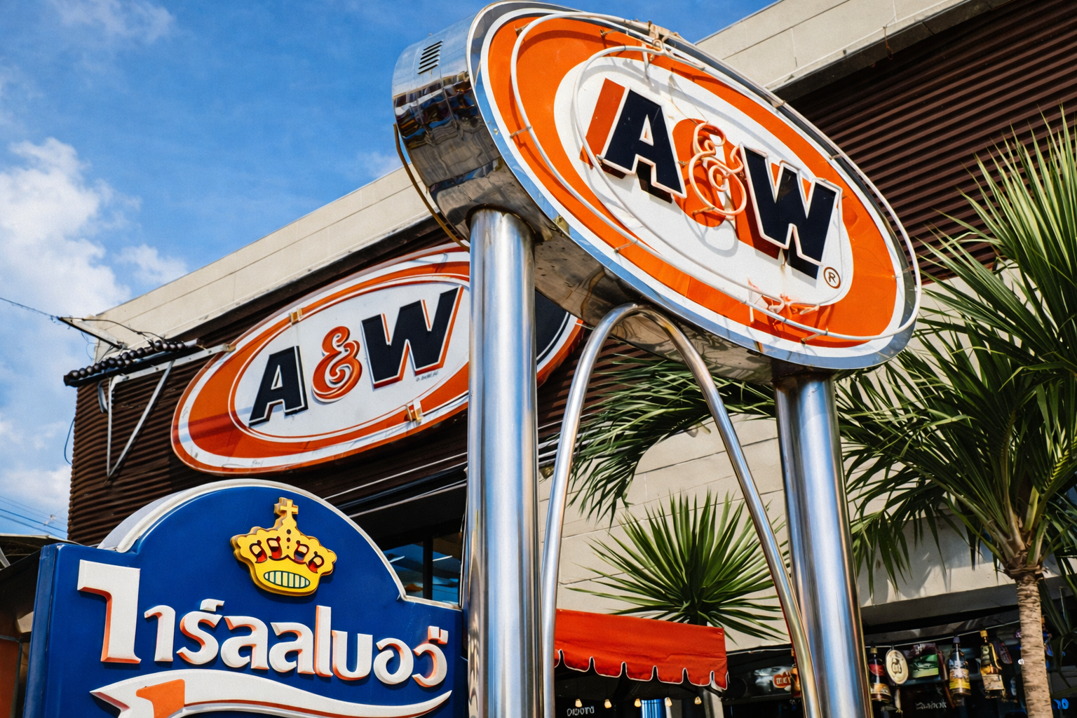 ChatGPT Image 23 févr. 2026, 12_01_40.png