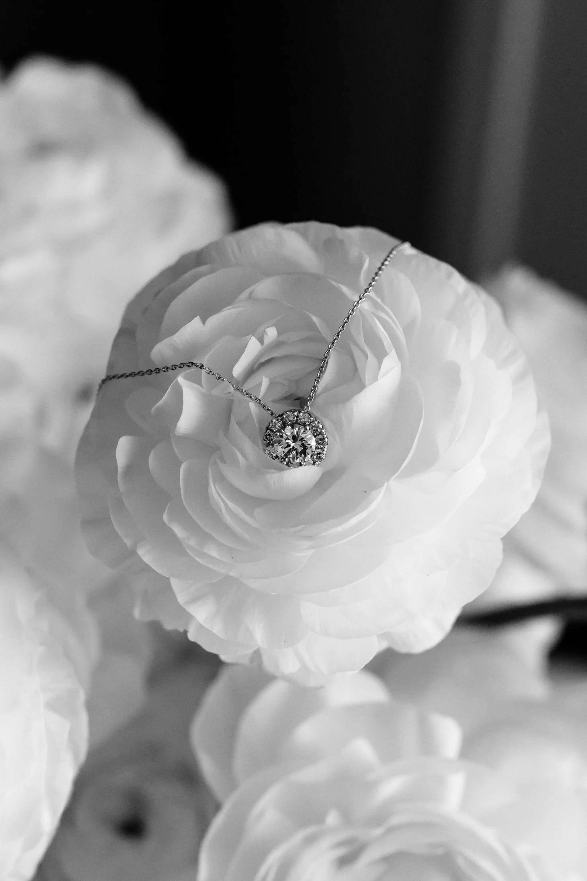 TS&ES-Wedding-0023.JPG