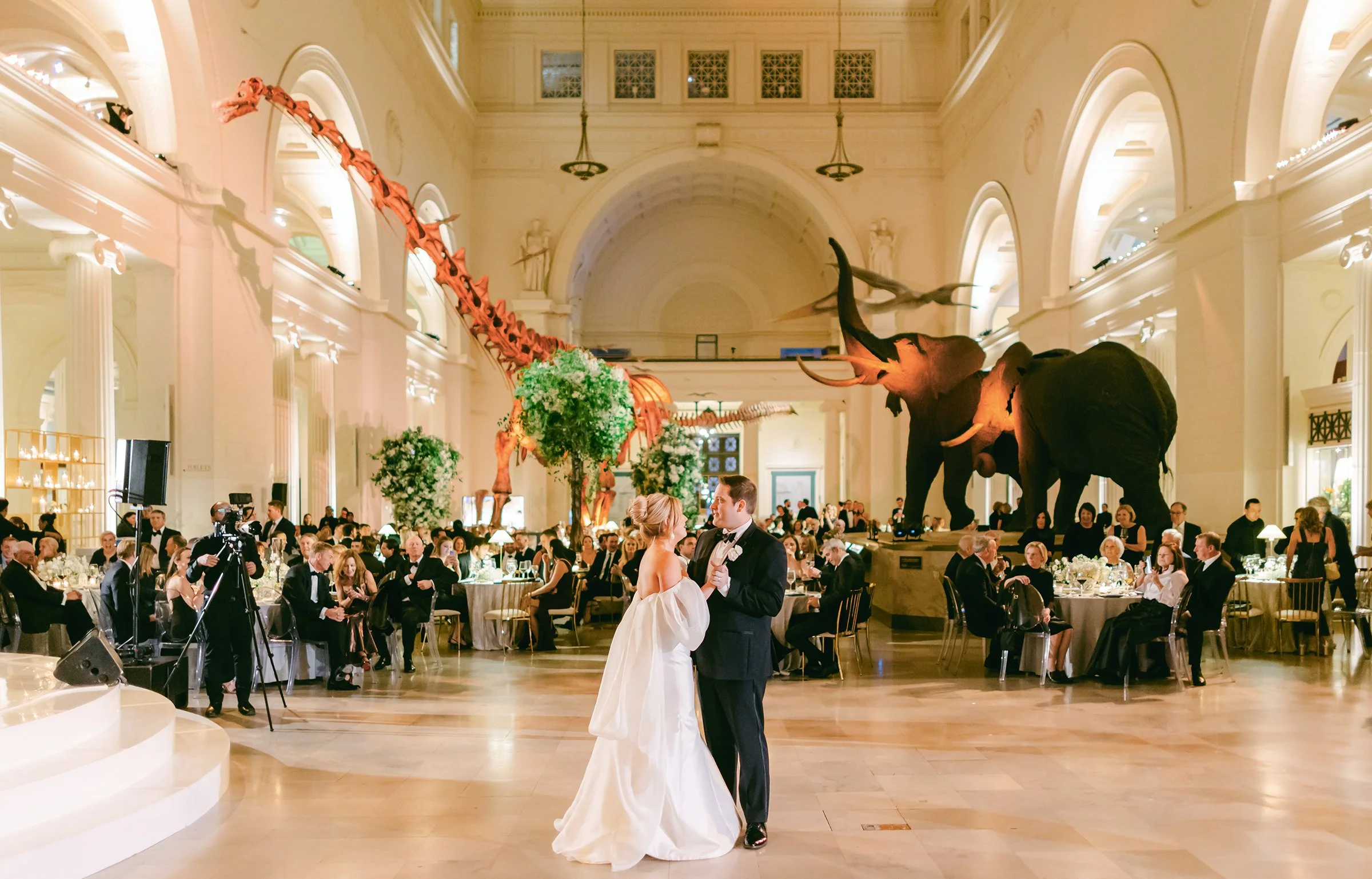 Luxury Field Museum winter wedding couple dancing with dionsaurs