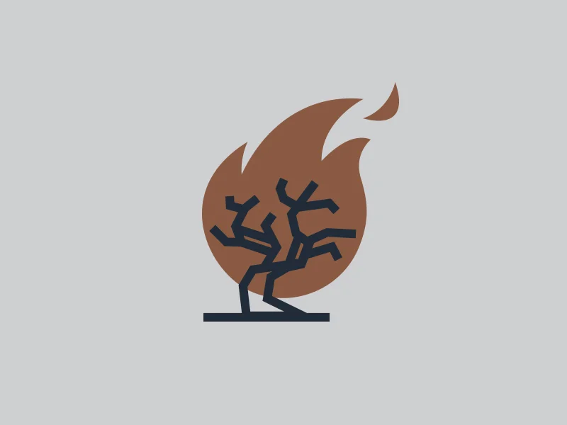 Blacktree_01.jpg