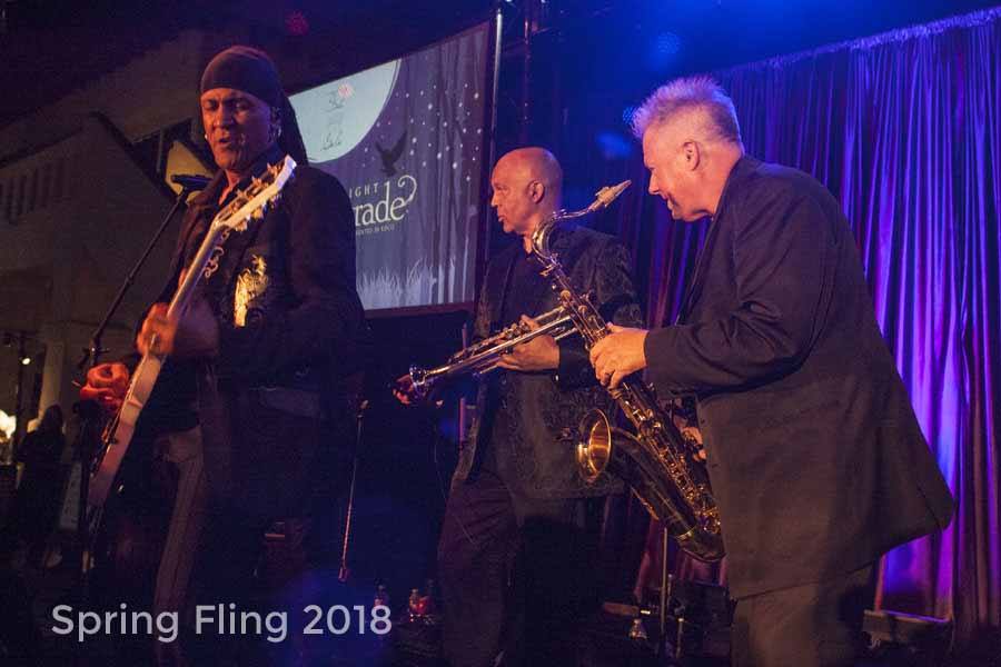 2018 HWAC Spring Fling Band