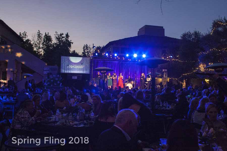 2018 HWAC Spring Fling Live Auction