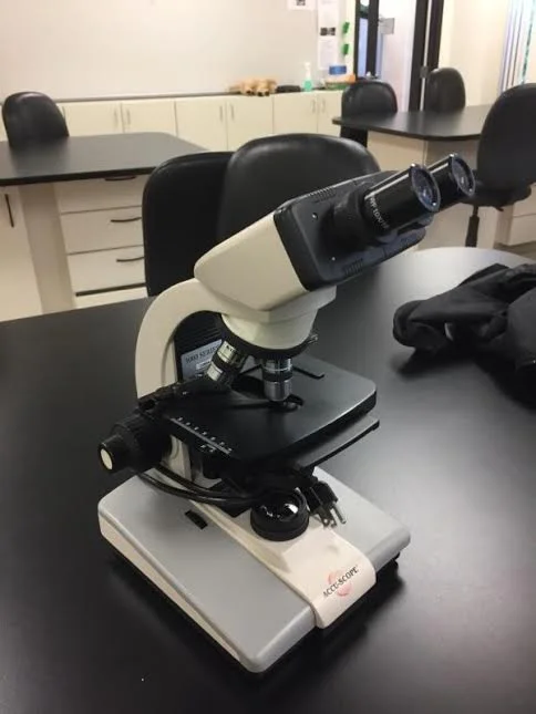 accuscope1.jpg