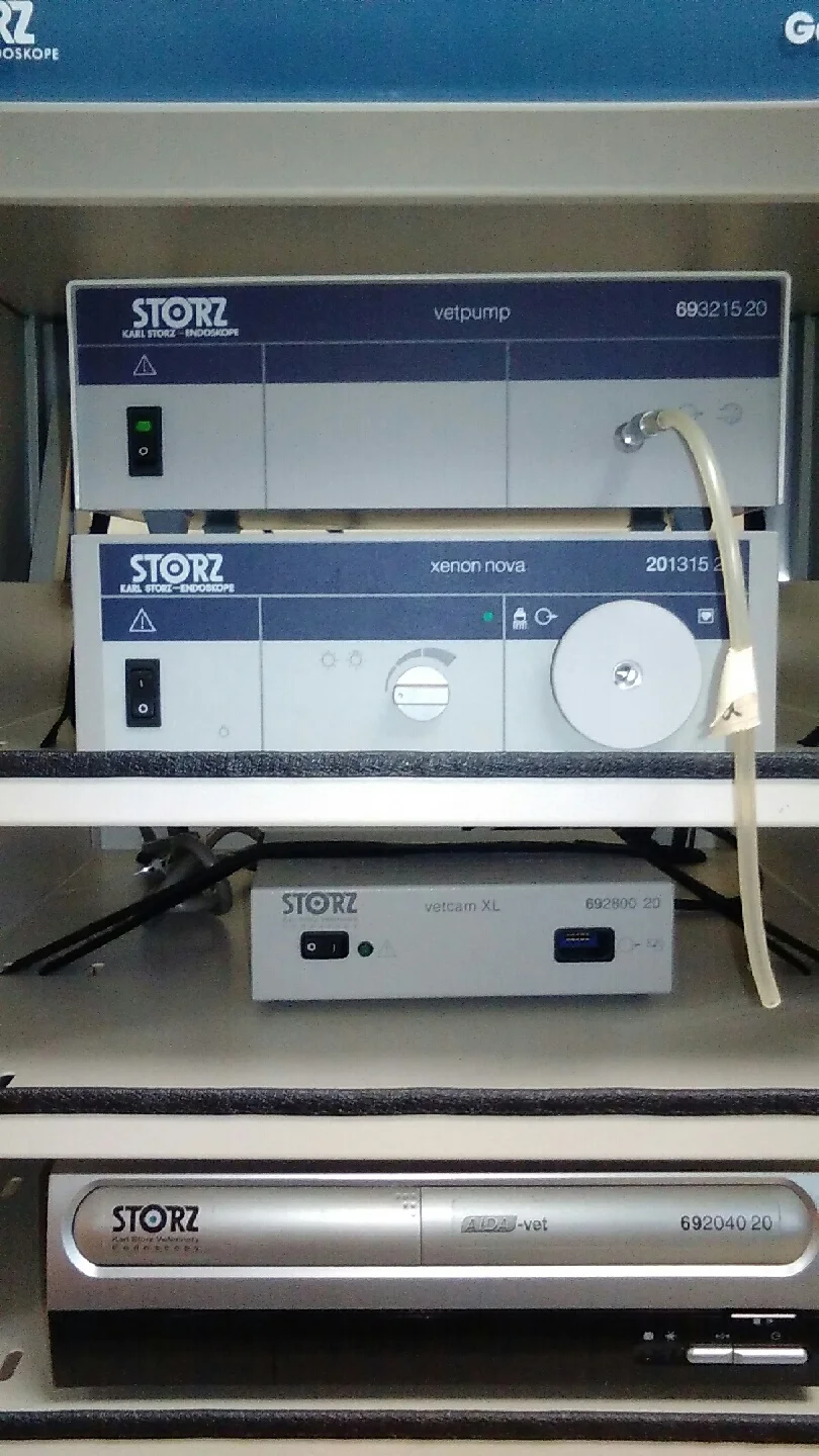 Storz2.JPG
