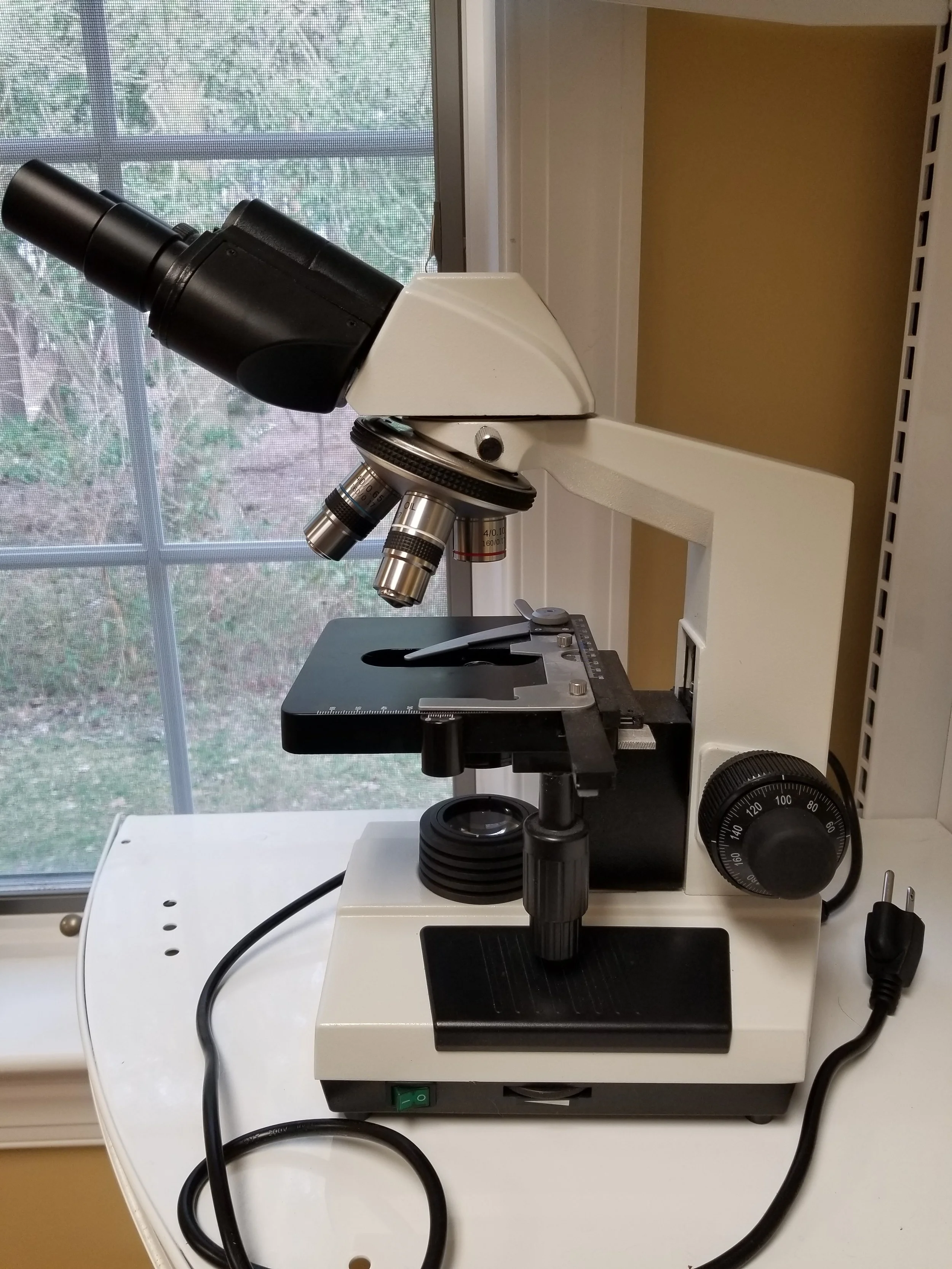 microscope 2.jpg