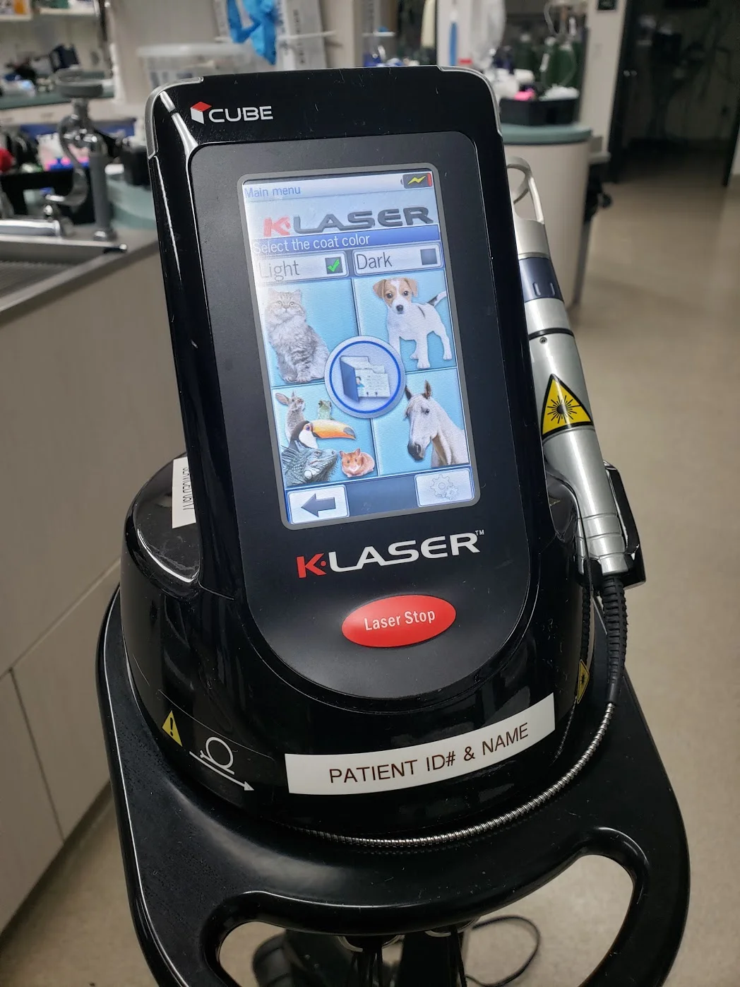 class iv laser for sale