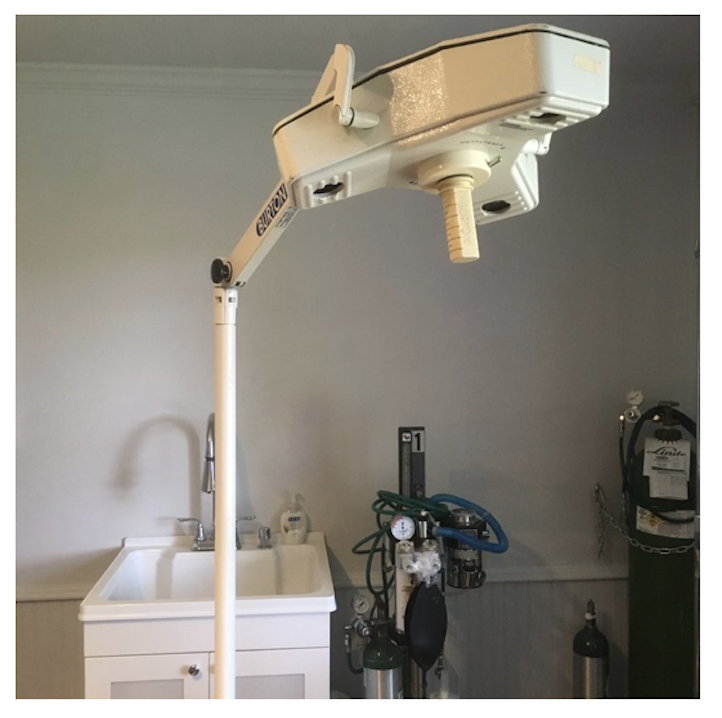 Screen Shot 2020-02-25 at 10.19.37 AM.png