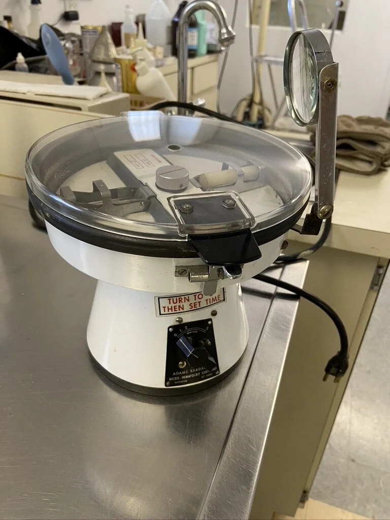 87BE3BF8-BF4E-4FE0-AF6C-8F87676312CF_1_105_c (1).jpeg