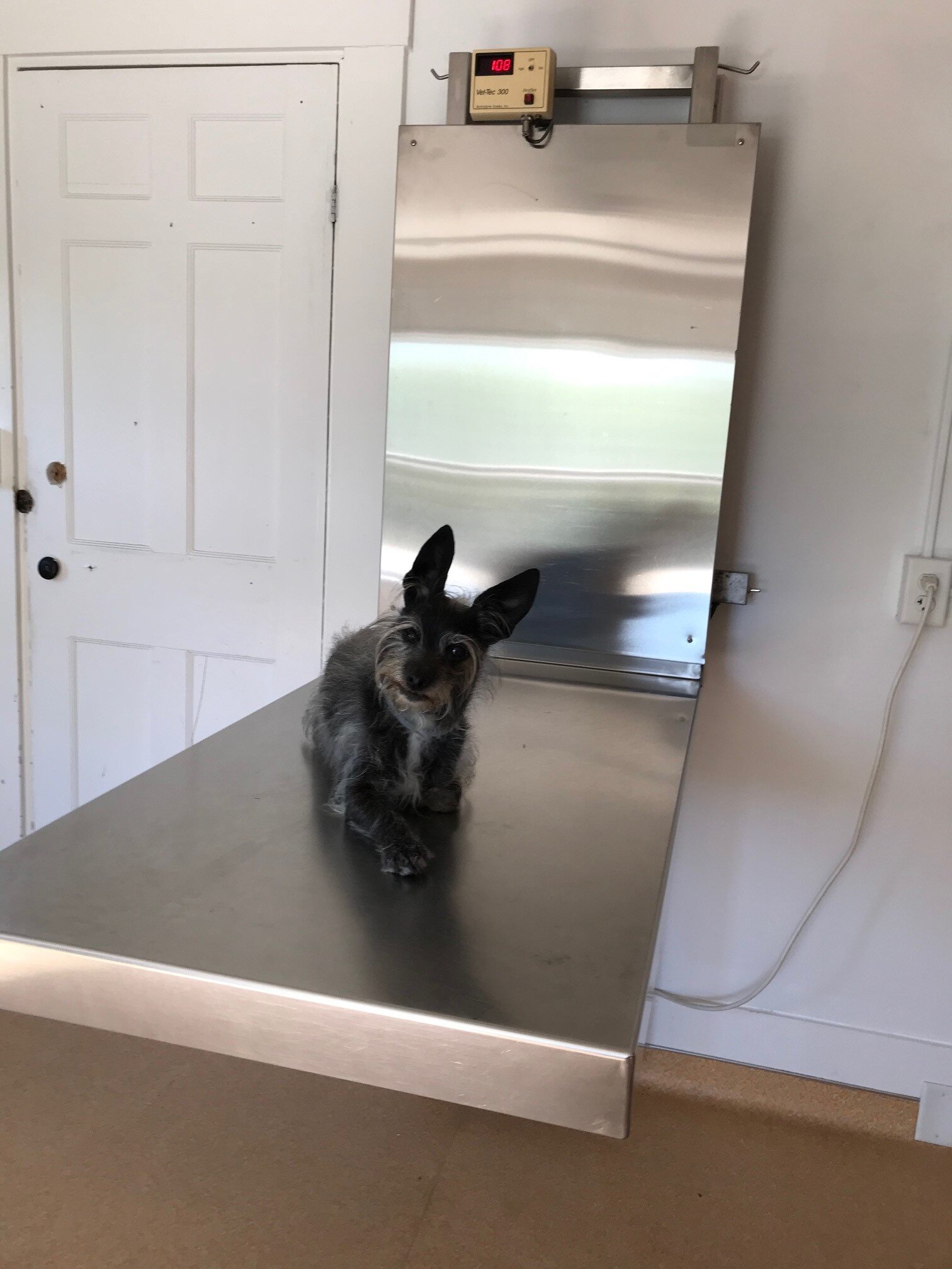 SOLD 2100 SOLD PRICE DROP Technidyne VetTec 300 Stainless Steel