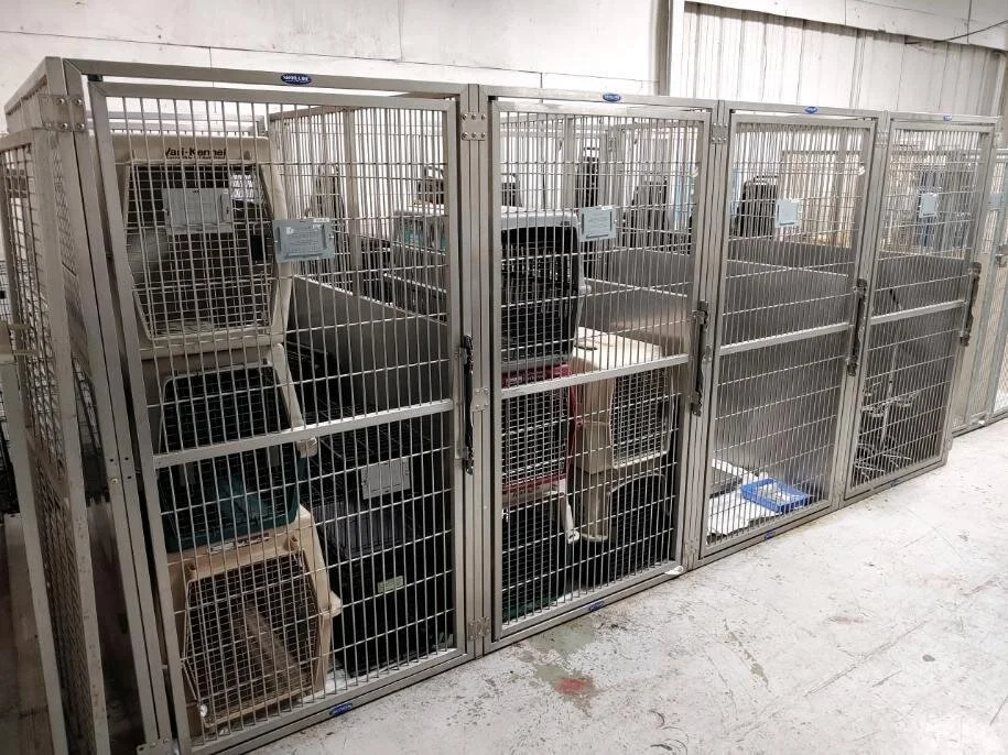 SOLD 8000 SOLD 14ft of ShorLine Four Bay Kennel Units LOCAL PICK UP