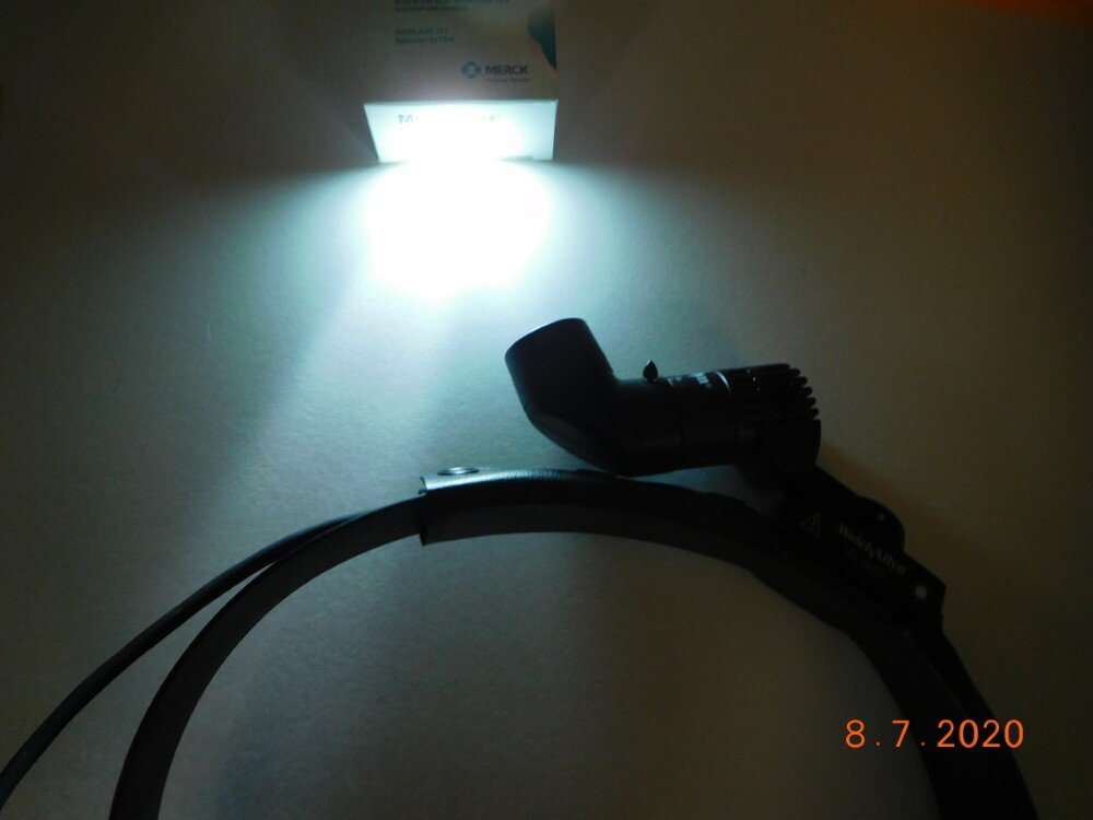 DSCN0803 (Advantage).JPG