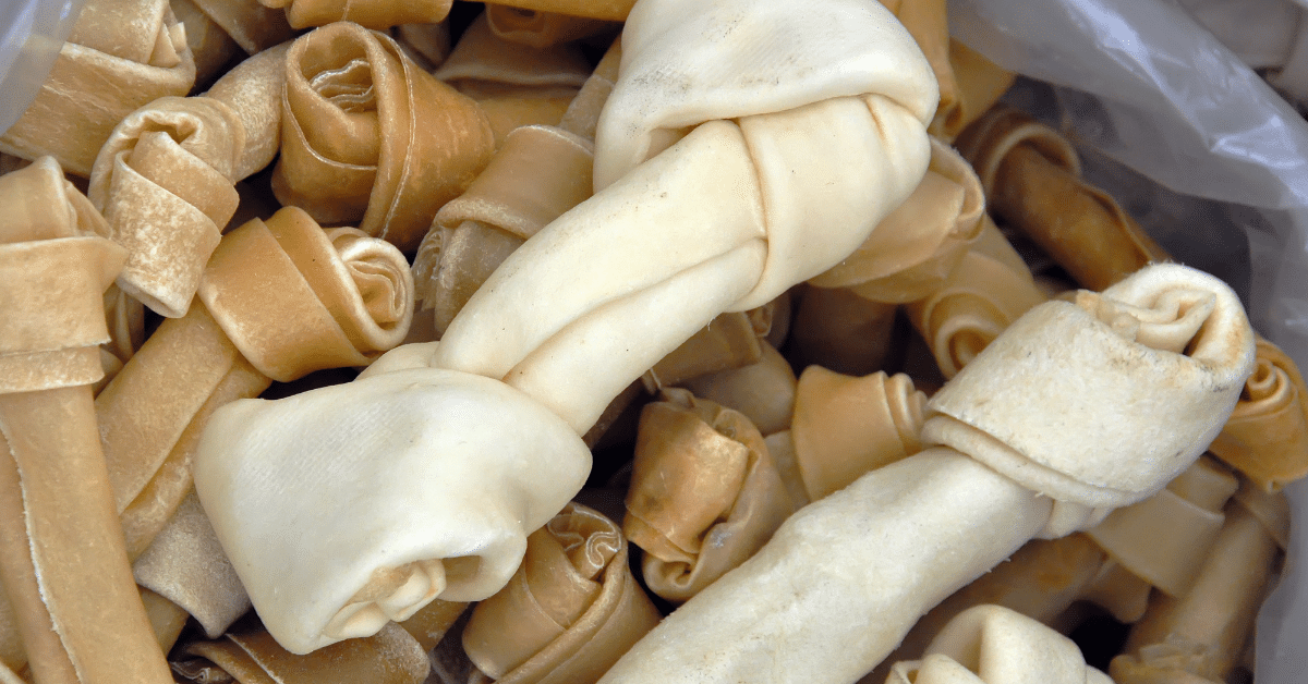 Beefhide Vs Rawhide Are They the Same for Your Pet? — Used Vet Equipment