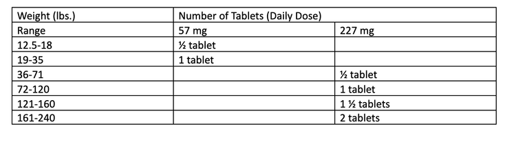 dog gabapentin vs carprofen