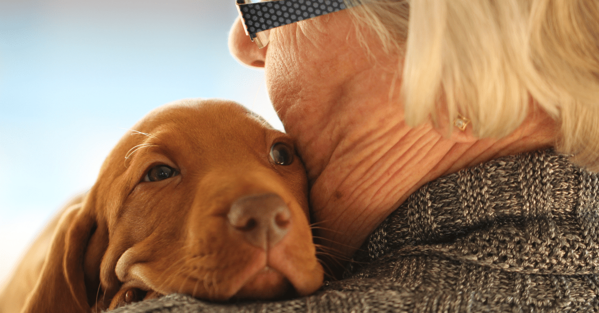 Dog Ibuprofen Dosage Chart Here’s How Much to Give Your Dog — Used Vet