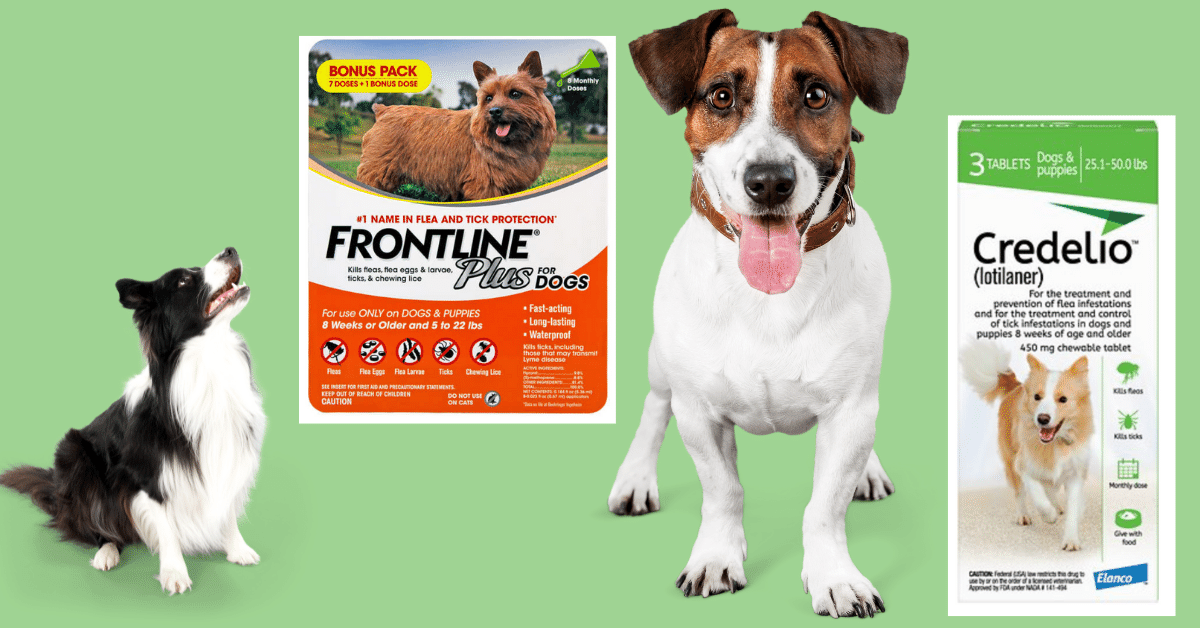 Credelio Vs Frontline: Pros &amp; Cons of Both For Your Pet