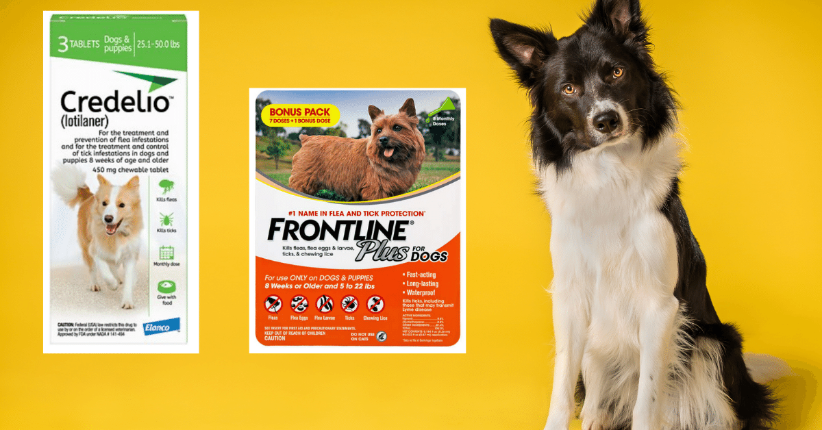 frontline 3.png