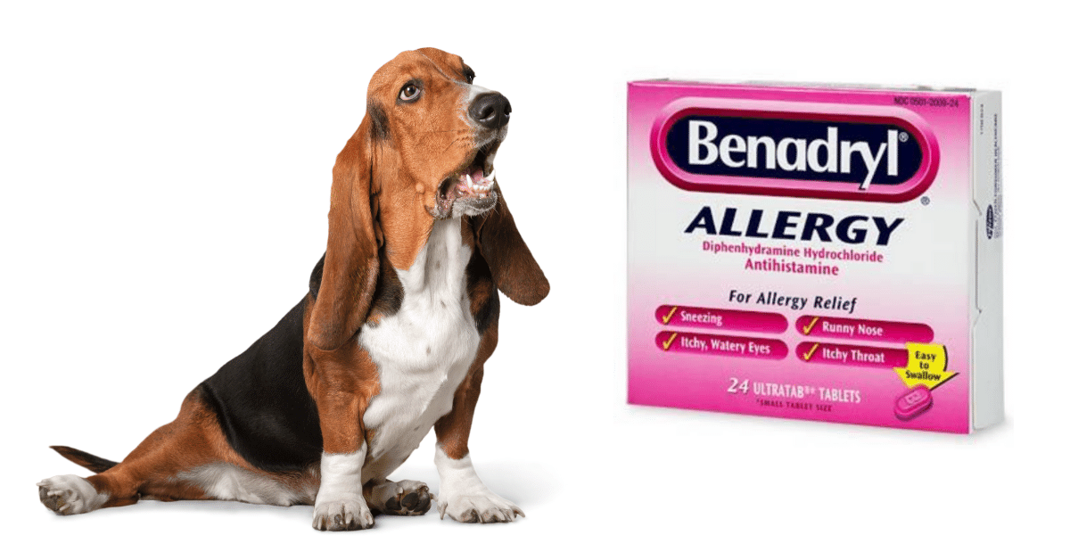 what can i give my dog for allergies over the counter