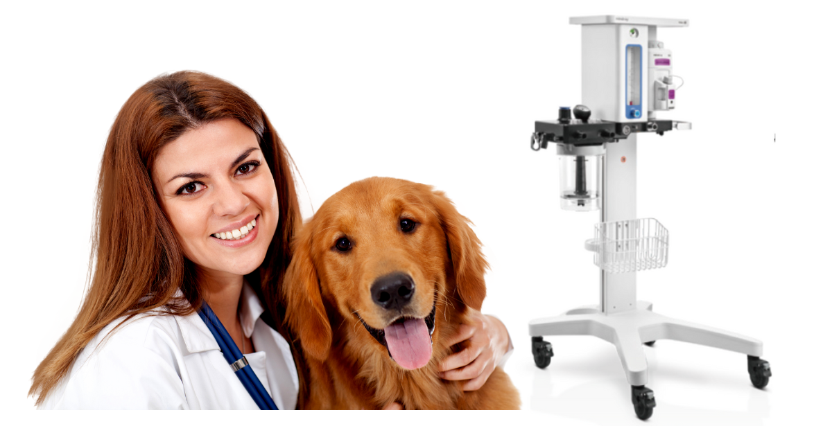 Veta 3 Veterinary Anesthesia Machine