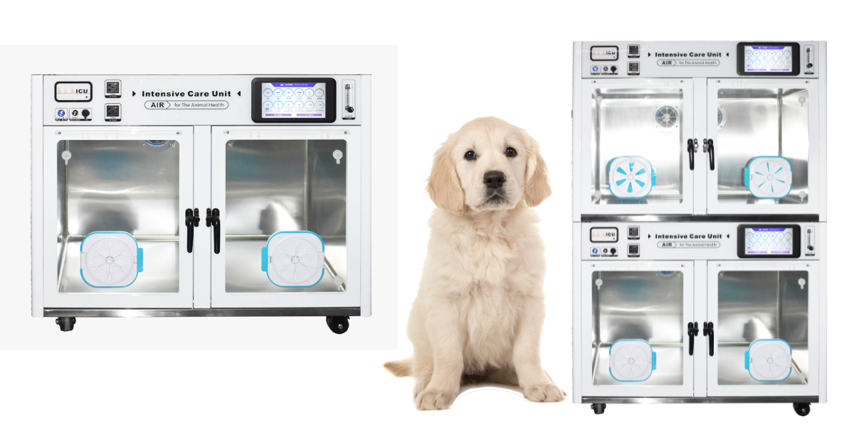 Veterinary Intensive Care Unit (ICU) Soda Lime-Free