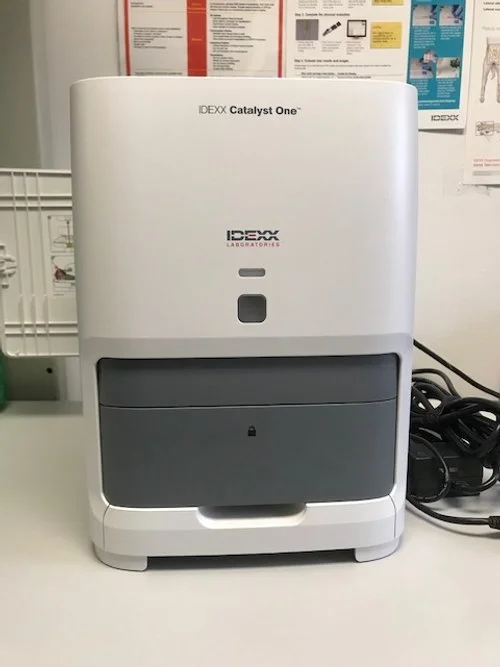 Catalyst Photo 5.jpg