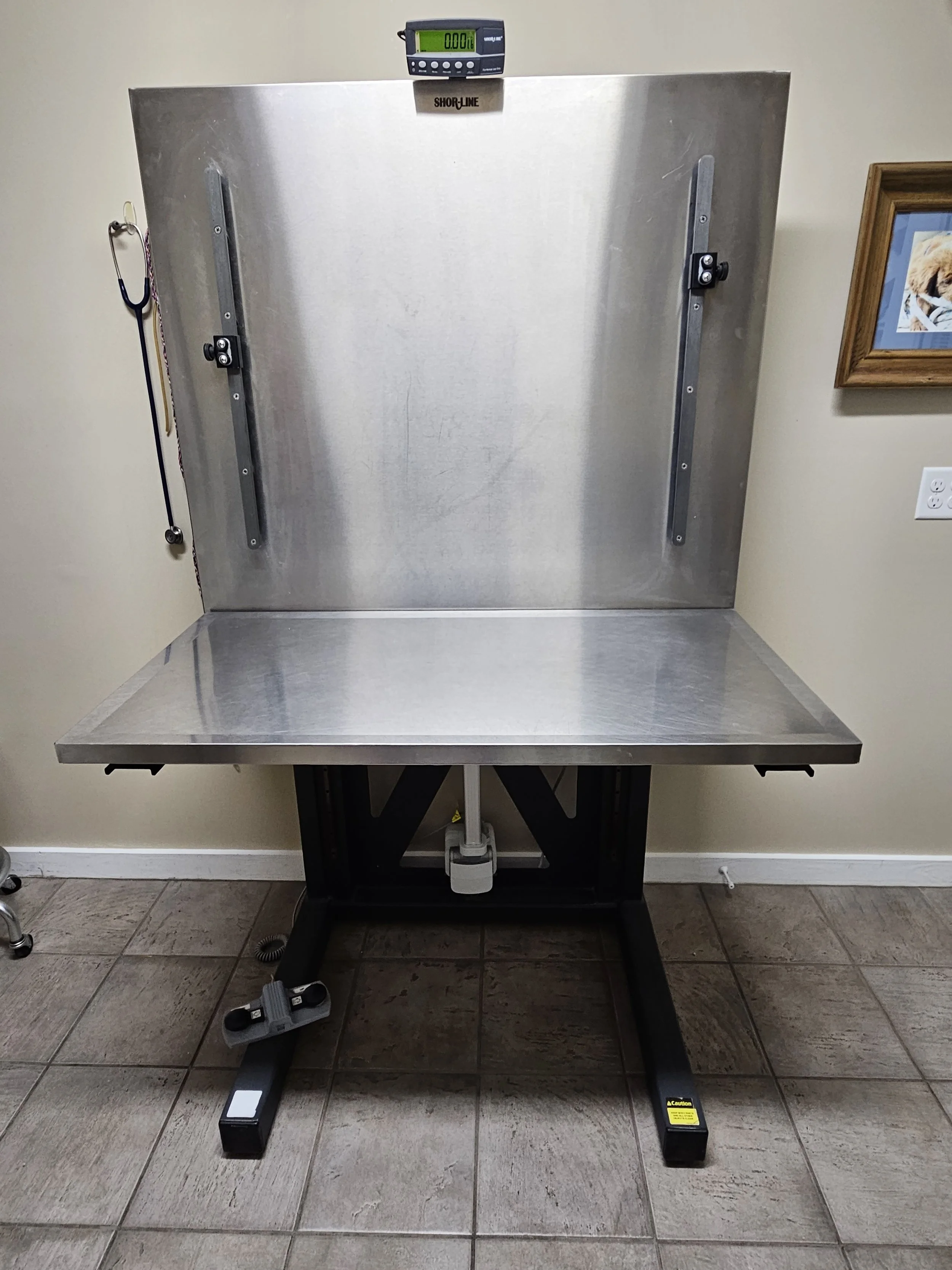 SOLD $2500 SOLD Shor-Line Animal Lift Table with Scale - LOCAL PICK UP ...