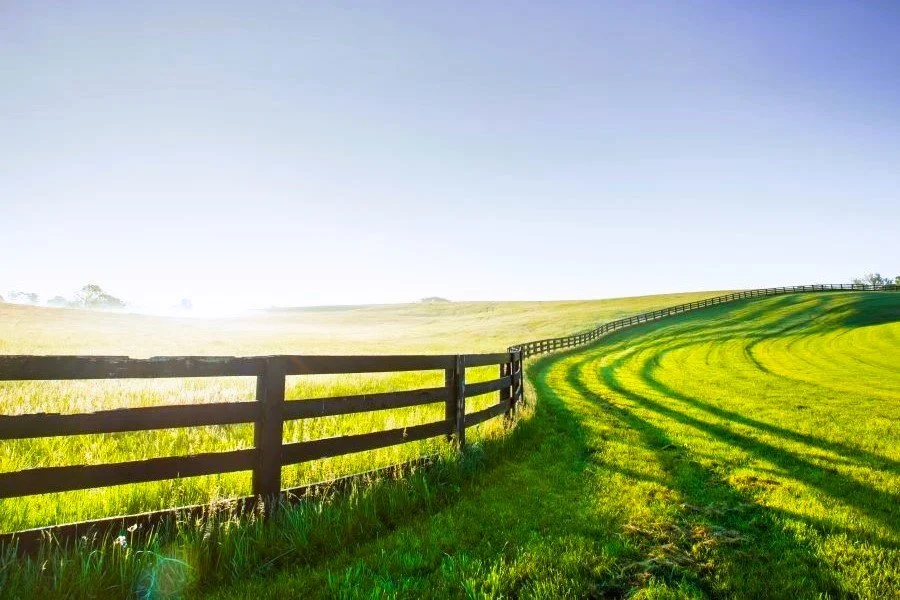 Clinics / Hospitals For Sale — Used Vet Equipment