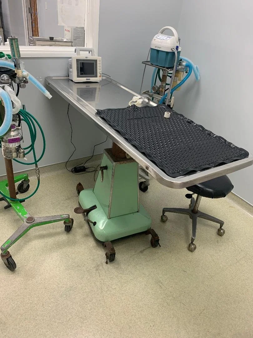 surgical table.jpg