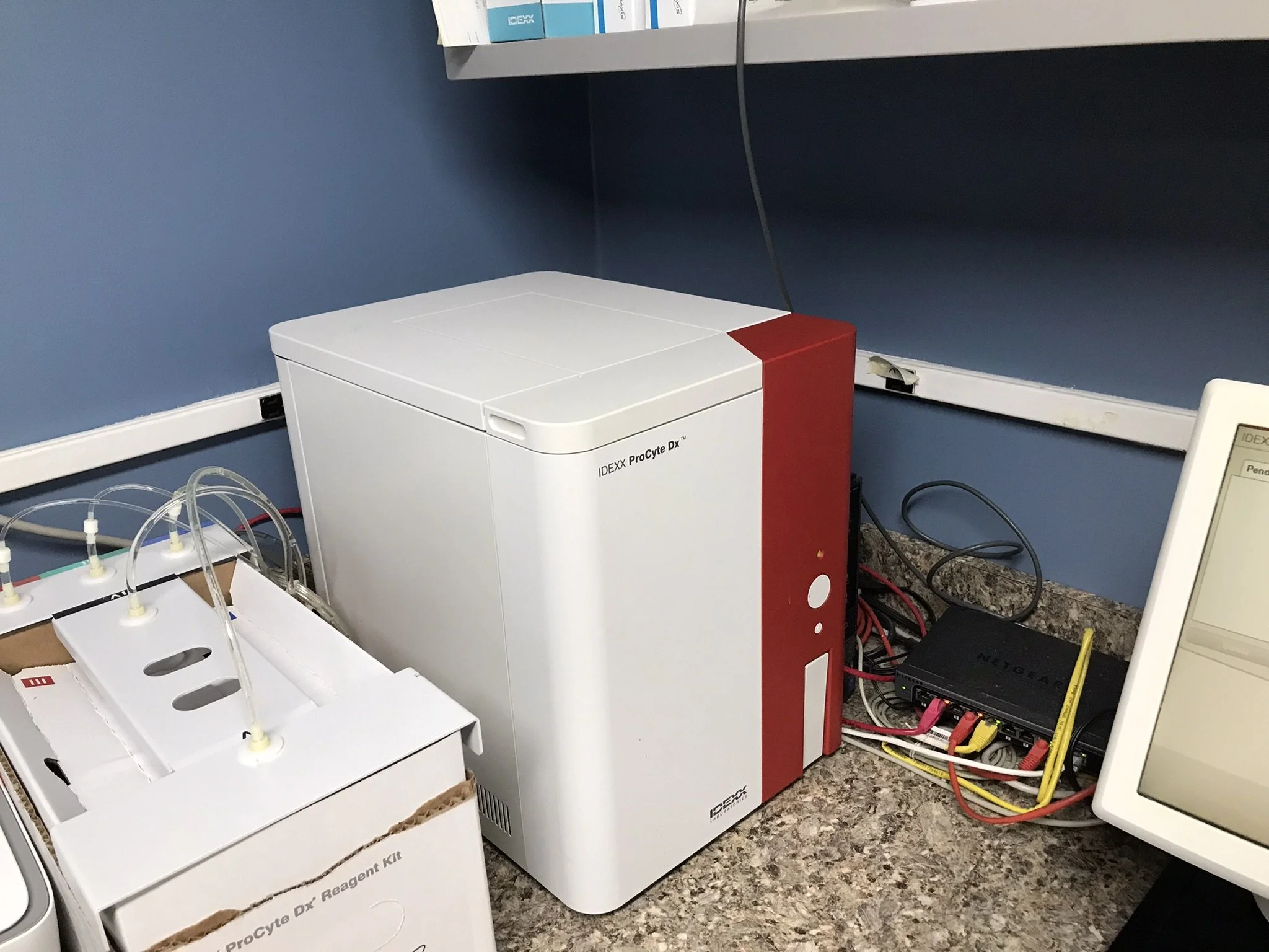 72F8AAAA-A91F-440B-AF25-22C1FAF28487 (1).jpeg