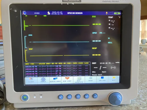 マルゼン　レベルモニター SOLD $3600 SOLD 2017 Midmark Cardell Touch Monitor — Used Vet