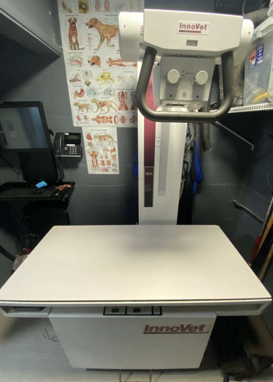 bradhaven_223154561164148_6474359170125292421_whole xray.png