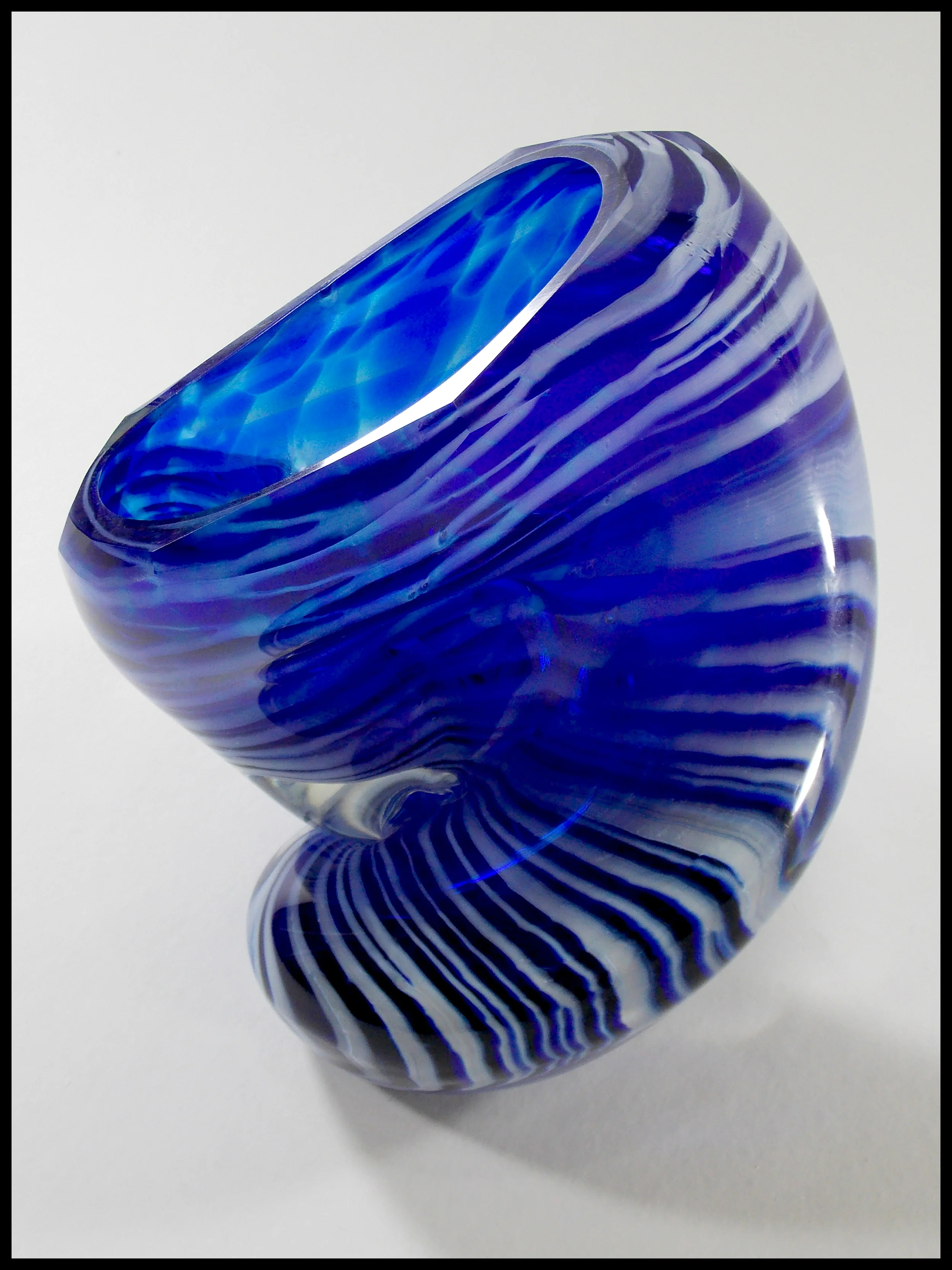 Blue Tigre HR.jpg