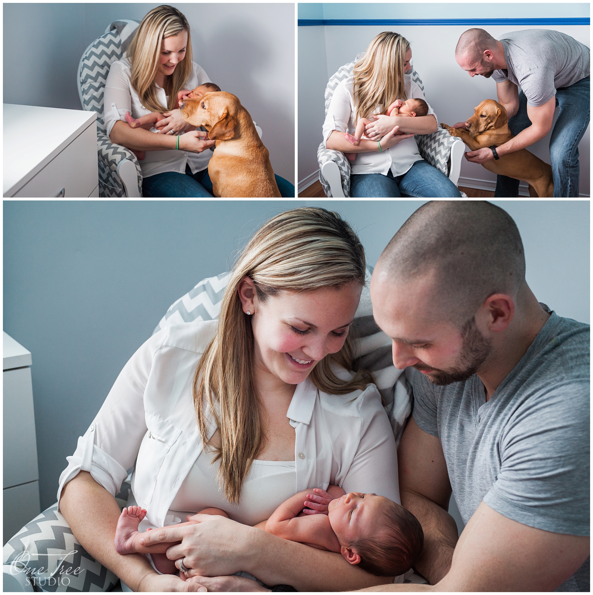 Baby Ethan | Newborn Photographer | Markham and GTA