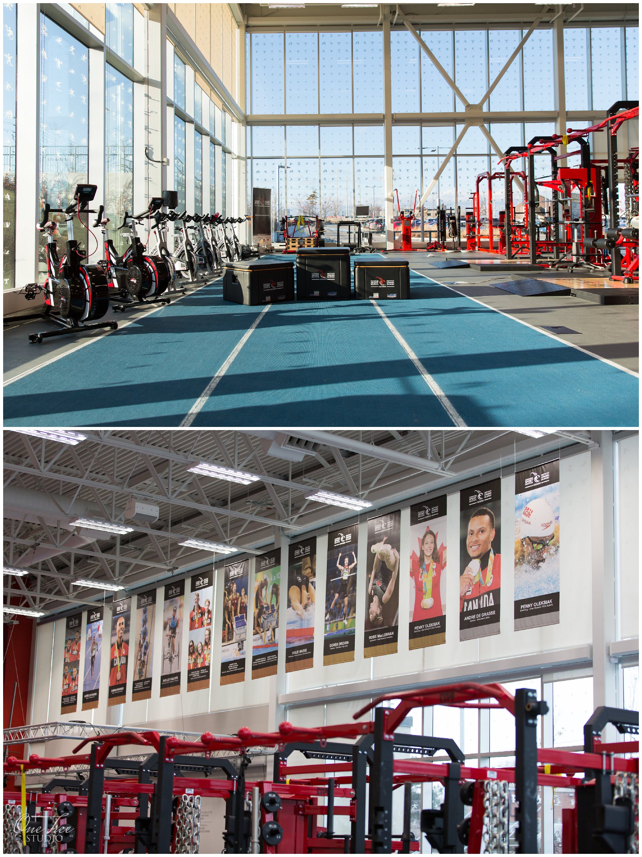 Toronto Event Photographer | Pan Am Sports Centre | One Tree Studio Inc.