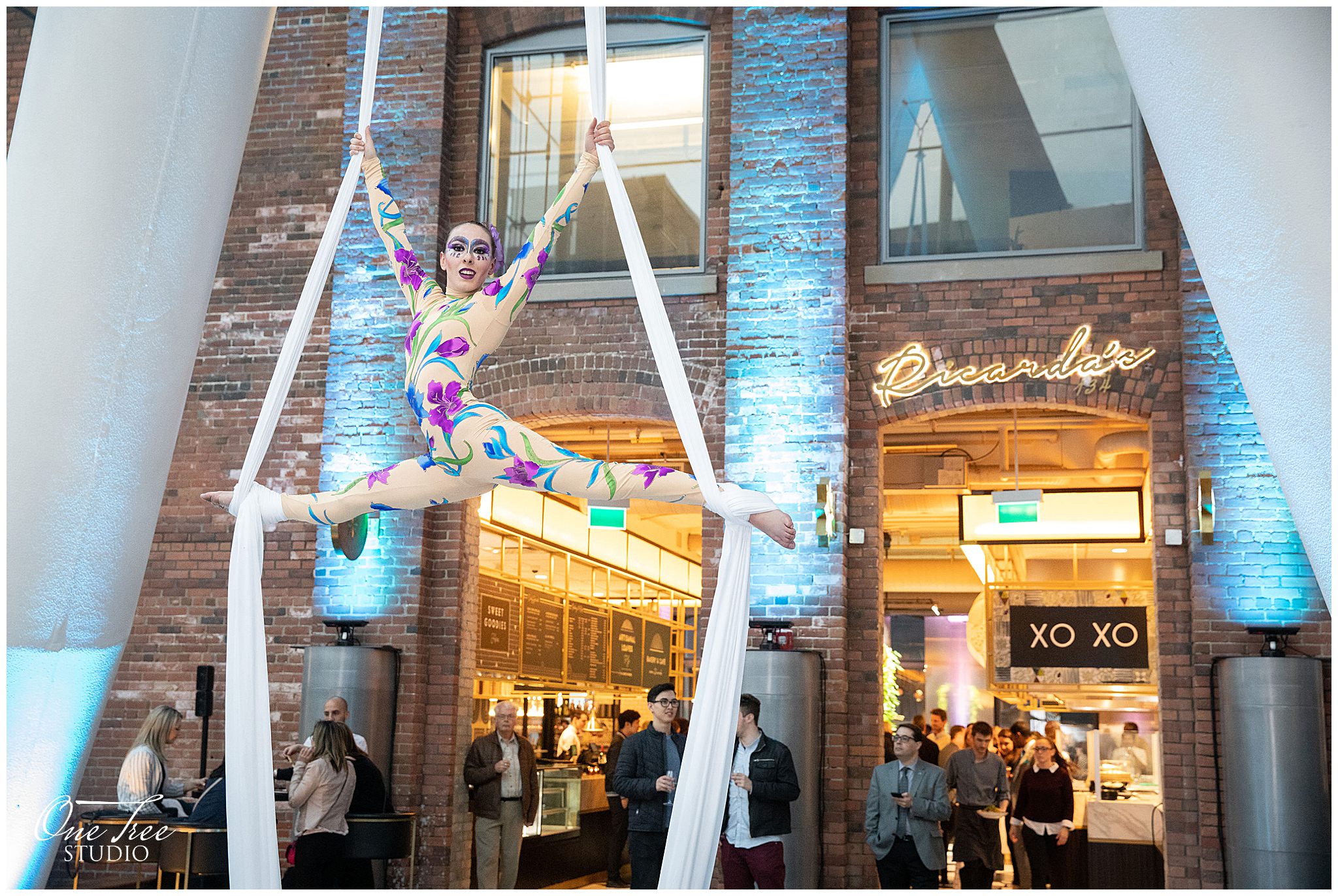 A2D2 Circus at Ricarda's Toronto