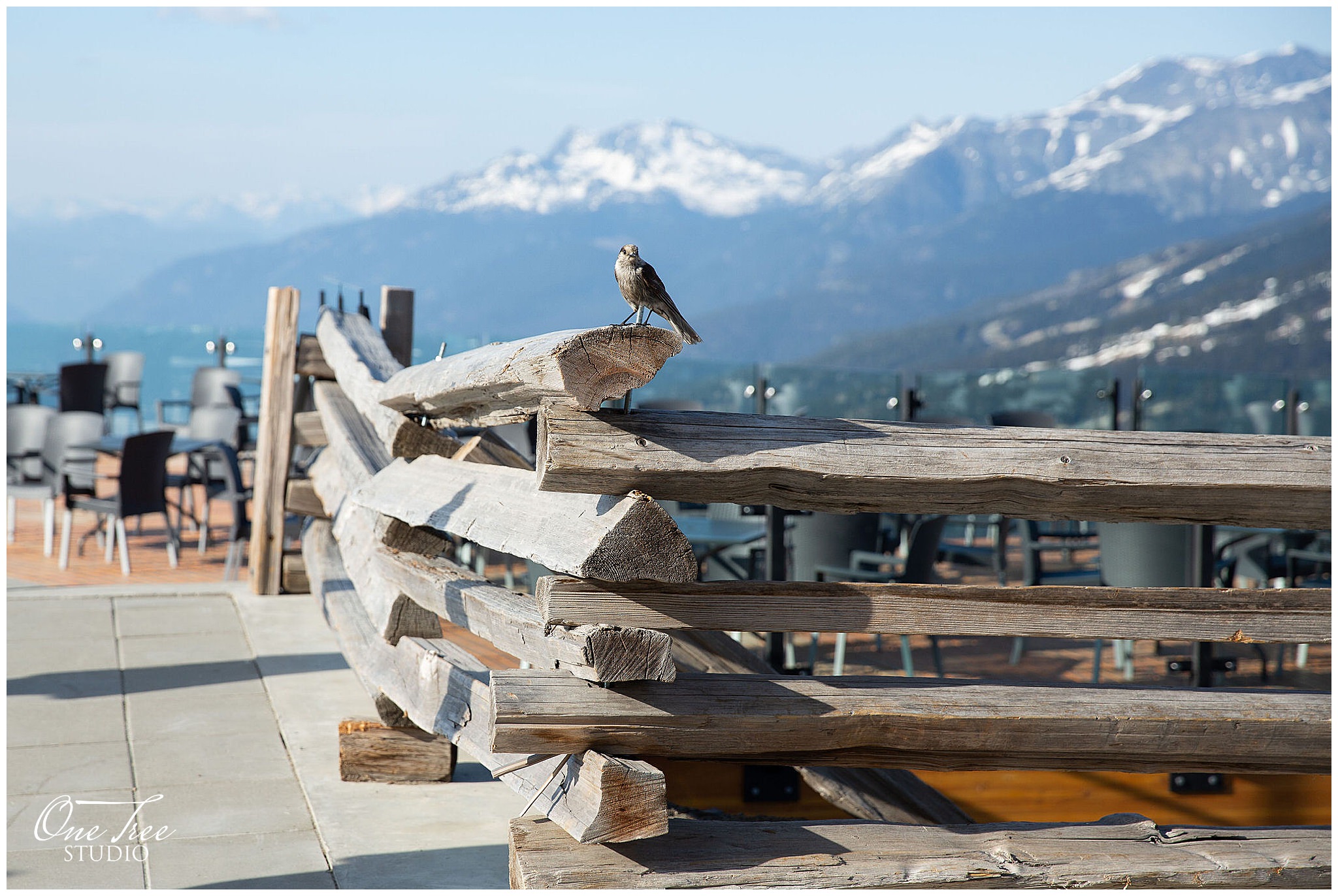 Roundhouse Lodge Whistler Event Photographer