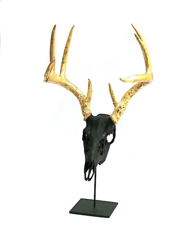 Dyed Deer Skull With Gilded Horns on Iron Stand
16×11×27h
PU008AA