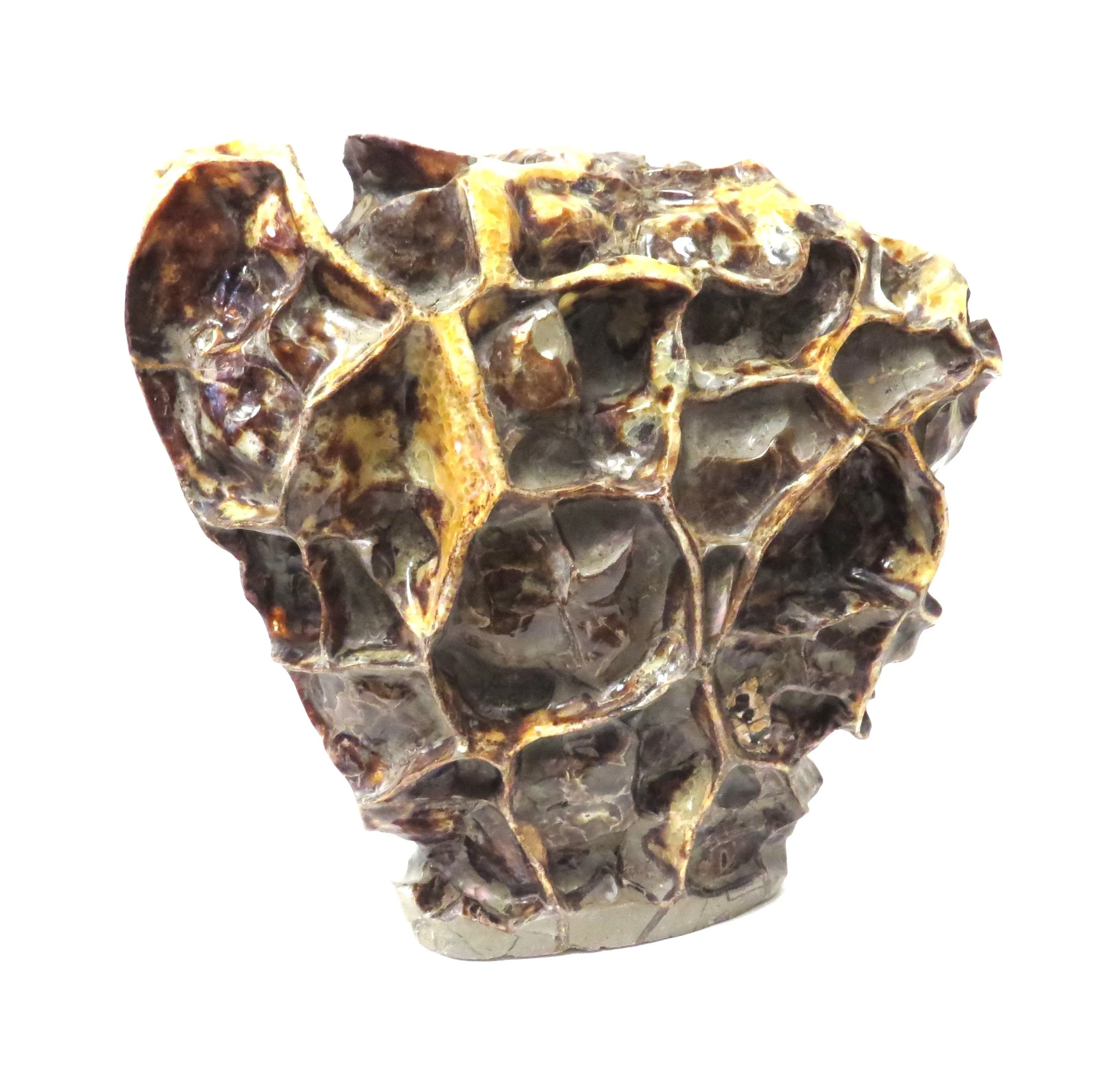 Septarium Free Form 16x6x16h FOS560